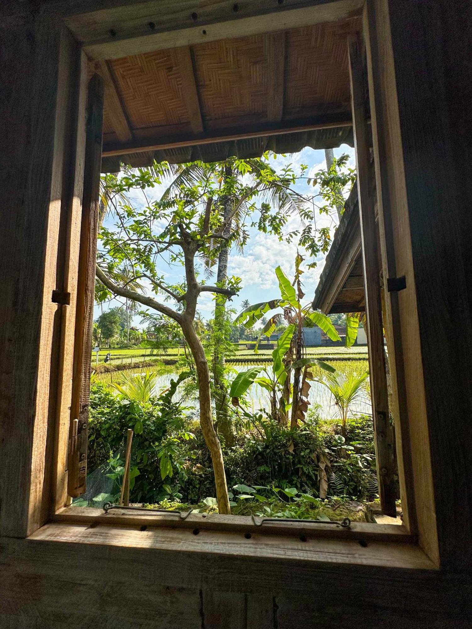 Nunu Bali Eco Friendly Retreat Canggu Exterior foto
