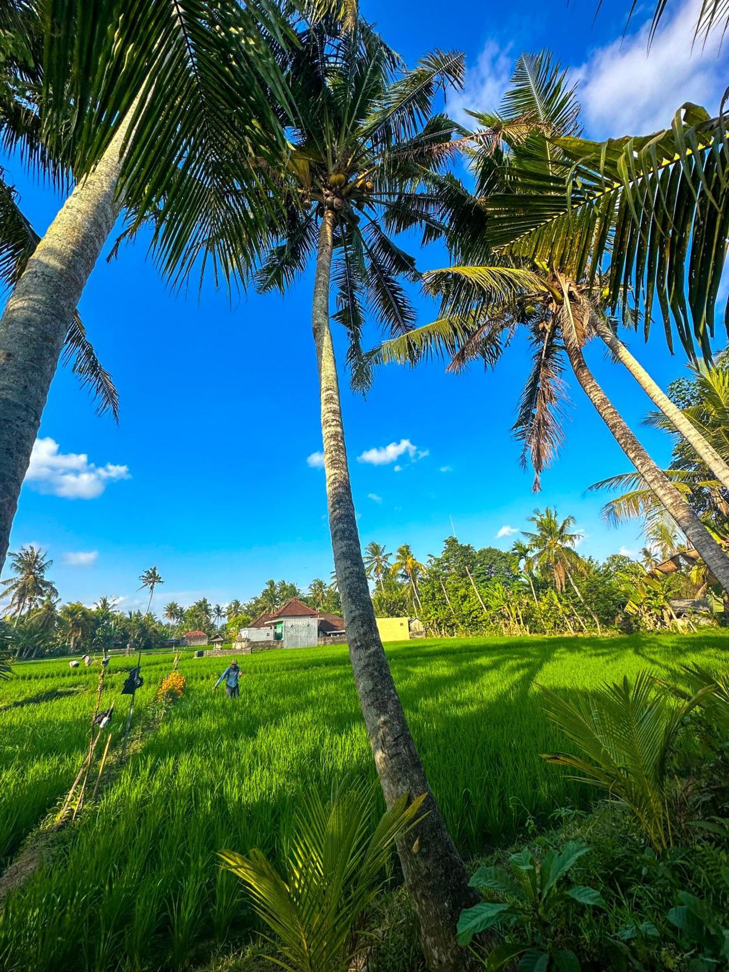 Nunu Bali Eco Friendly Retreat Canggu Exterior foto